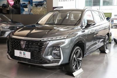 2022款 2.0T 自动有为尊荣版-外观-图片-有驾