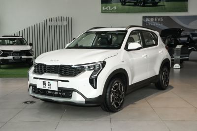 2024款 1.5L 舒适版-外观-图片-有驾