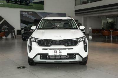 2024款 1.5L 舒适版-外观-图片-有驾