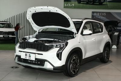 2024款 1.5L 舒适版-外观-图片-有驾