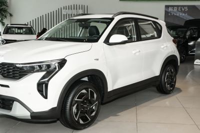 2024款 1.5L 舒适版-外观-图片-有驾