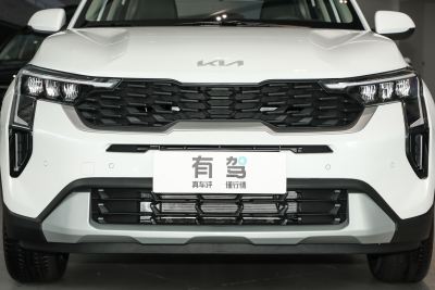2024款 1.5L 舒适版-外观-图片-有驾
