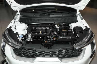 2024款 1.5L 舒适版-外观-图片-有驾
