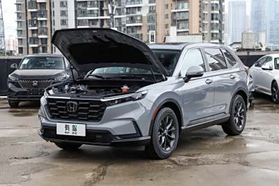 2026款 全球30年荣耀款 240TURBO 两驱锋尚5座版-外观-图片-有驾
