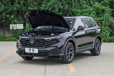 2025款 240TURBO 两驱基本型 5座-外观-图片-有驾