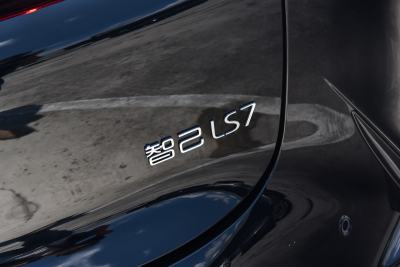 2024款 100kWh Max Lux后驱版-外观-图片-有驾