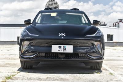 2024款 100kWh Max Lux后驱版-外观-图片-有驾