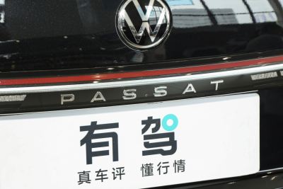 2025款 Pro 300TSI 龙耀版-外观-图片-有驾