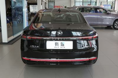 2025款 Pro 300TSI 龙耀版-外观-图片-有驾