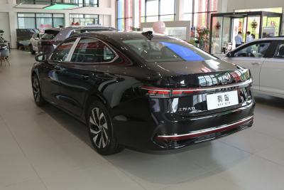 2025款 Pro 300TSI 龙耀版-外观-图片-有驾