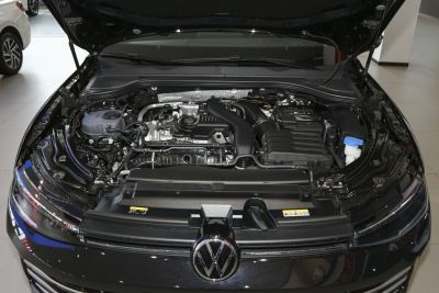 2025款 Pro 300TSI 龙耀版-外观-图片-有驾