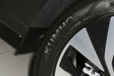 2025款 Pro 300TSI 龙耀版-外观-图片-有驾