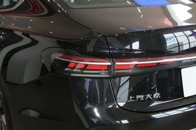 2025款 Pro 300TSI 龙耀版-外观-图片-有驾