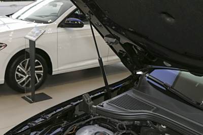 2025款 Pro 300TSI 龙耀版-外观-图片-有驾