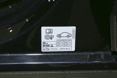 2025款 Pro 300TSI 龙耀版-外观-图片-有驾