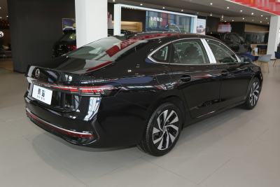 2025款 Pro 300TSI 龙耀版-外观-图片-有驾