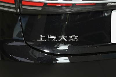 2025款 Pro 300TSI 龙耀版-外观-图片-有驾