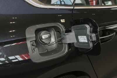 2025款 Pro 300TSI 龙耀版-外观-图片-有驾