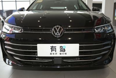 2025款 Pro 300TSI 龙耀版-外观-图片-有驾