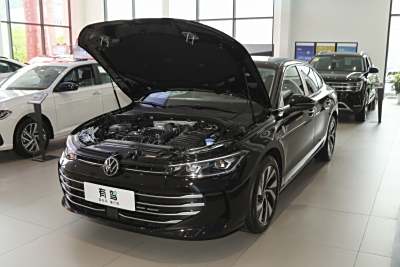 2025款 Pro 300TSI 龙耀版-外观-图片-有驾