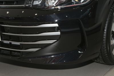 2025款 Pro 300TSI 龙耀版-外观-图片-有驾