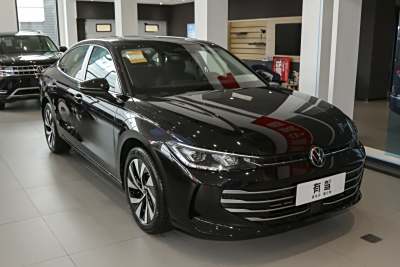 2025款 Pro 300TSI 龙耀版-外观-图片-有驾