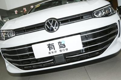 2025款 Pro 300TSI 龙耀版-外观-图片-有驾