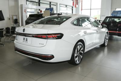 2025款 Pro 300TSI 龙耀版-外观-图片-有驾