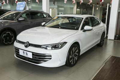 2025款 Pro 300TSI 龙耀版-外观-图片-有驾