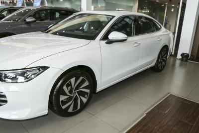 2025款 Pro 300TSI 龙耀版-外观-图片-有驾