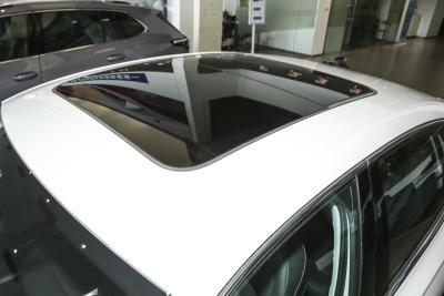 2025款 Pro 300TSI 龙耀版-外观-图片-有驾
