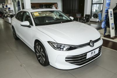 2025款 Pro 300TSI 龙耀版-外观-图片-有驾