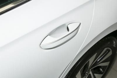 2025款 Pro 300TSI 龙耀版-外观-图片-有驾