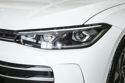 2025款 Pro 300TSI 龙耀版-外观-图片-有驾