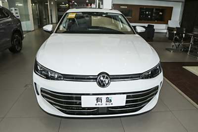 2025款 Pro 300TSI 龙耀版-外观-图片-有驾