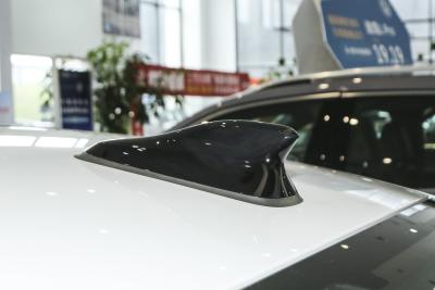 2025款 Pro 300TSI 龙耀版-外观-图片-有驾