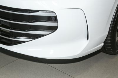 2025款 Pro 300TSI 龙耀版-外观-图片-有驾