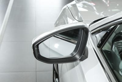 2025款 Pro 300TSI 龙耀版-外观-图片-有驾