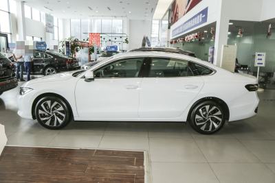 2025款 Pro 300TSI 龙耀版-外观-图片-有驾