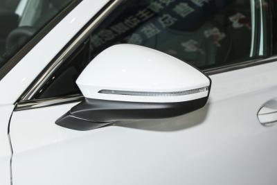 2025款 Pro 300TSI 龙耀版-外观-图片-有驾