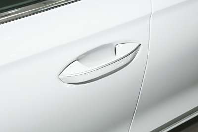 2025款 Pro 300TSI 龙耀版-外观-图片-有驾