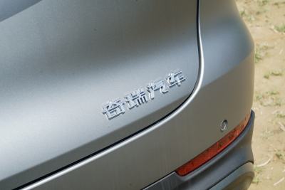 2025款 2.0T 两驱长虹版 7座-外观-图片-有驾