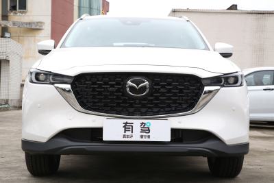 2024款 2.0L 自动两驱智雅Pro-外观-图片-有驾