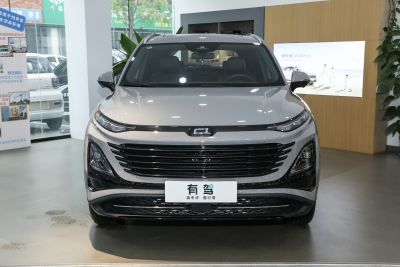 2025款 龙耀版 1.5T 欢享型-外观-图片-有驾