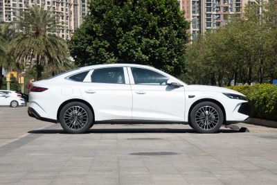 2026款 DM-i 210KM云辇型-外观-图片-有驾