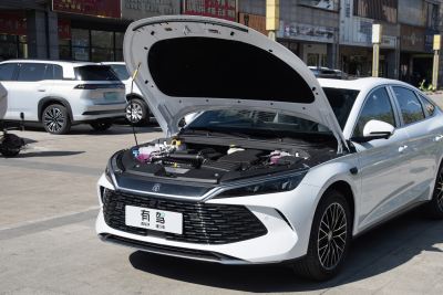 2026款 DM-i 210KM云辇型-外观-图片-有驾