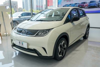 2025款 420km 活力版-外观-图片-有驾
