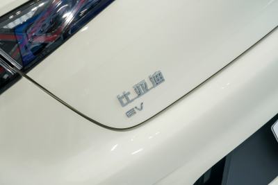 2025款 420km 活力版-外观-图片-有驾