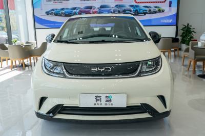 2025款 420km 活力版-外观-图片-有驾