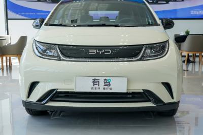 2025款 420km 活力版-外观-图片-有驾